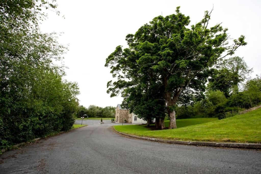 Affittacamere Donegal Manor